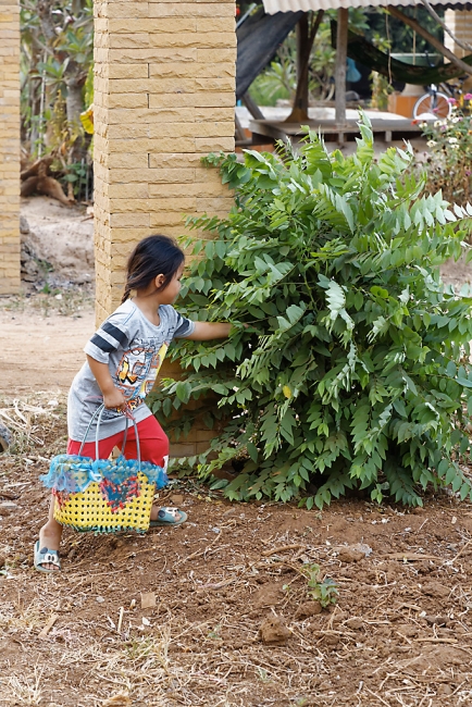 Famille et amis-MAR18-021